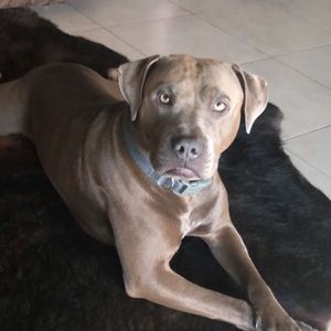 Meet your Posher, Kaylee